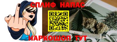 мдпв Пугачёв