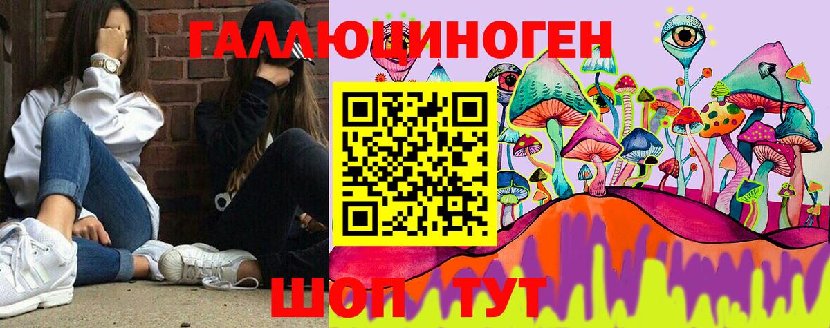Галлюциногенные грибы прущие грибы Сорочинск