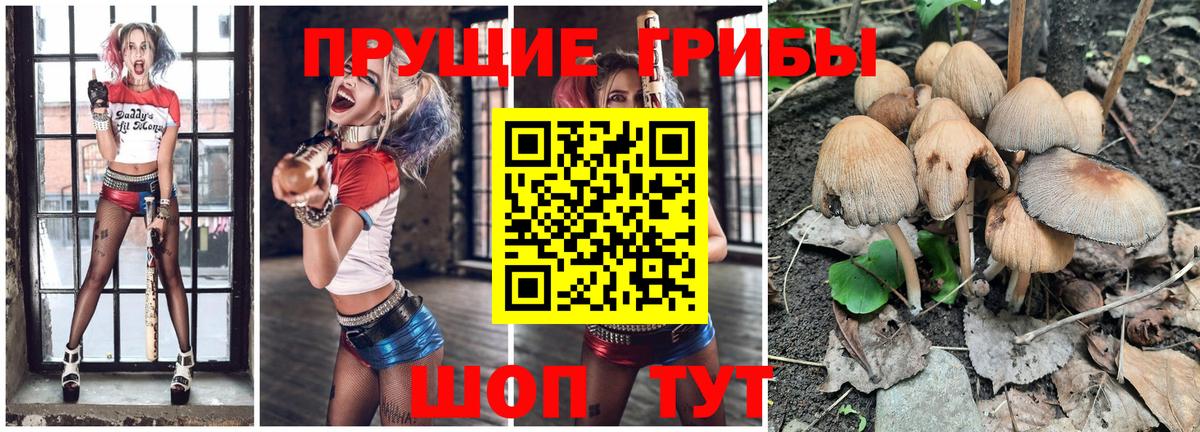 Галлюциногенные грибы мицелий  Галлюциногенные грибы Cubensis  Сорочинск  Вход с VPN 